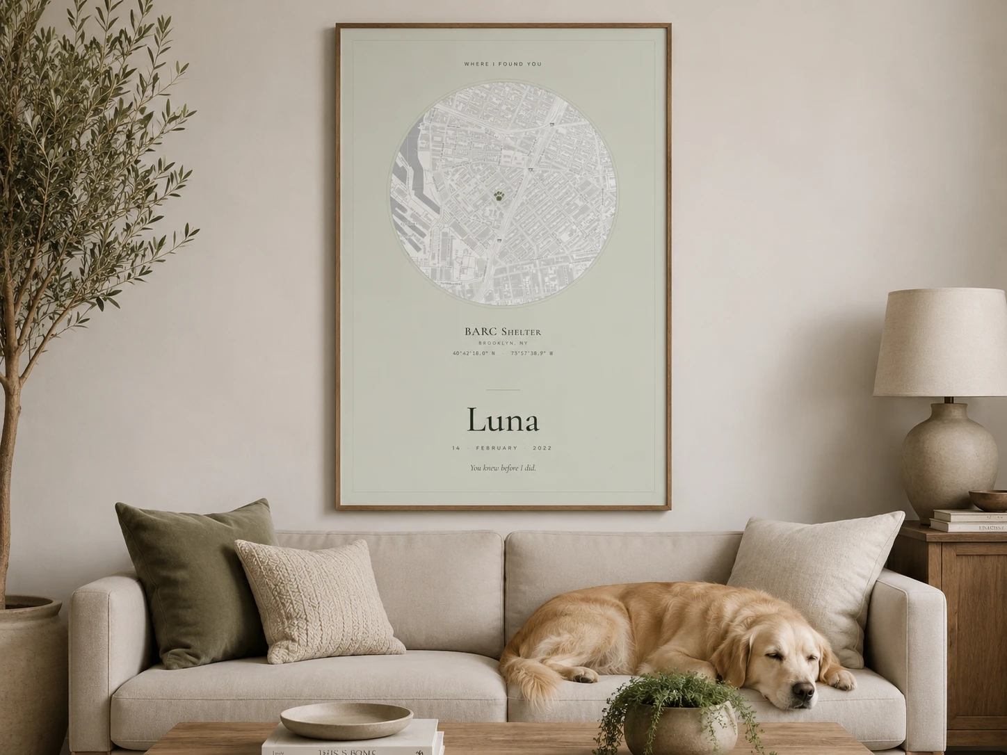 A custom Companion map poster framed above a sofa, with a golden retriever resting below it.